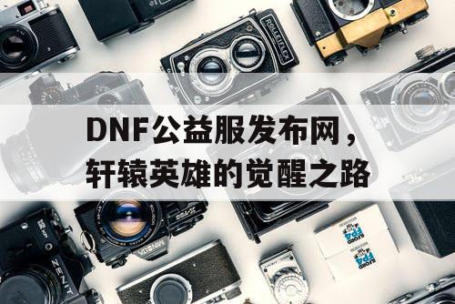 DNF公益服发布网，轩辕英雄的觉醒之路