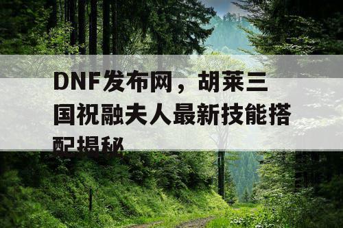 DNF发布网，胡莱三国祝融夫人最新技能搭配揭秘