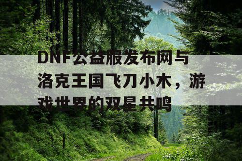 DNF公益服发布网与洛克王国飞刀小木，游戏世界的双星共鸣