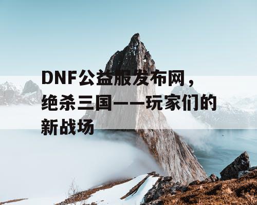 DNF公益服发布网，绝杀三国——玩家们的新战场