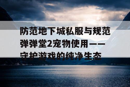 防范地下城私服与规范弹弹堂2宠物使用——守护游戏的纯净生态