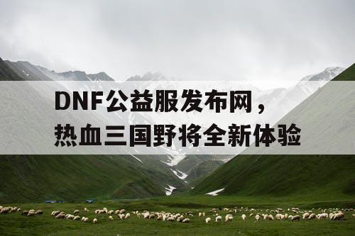 DNF公益服发布网，热血三国野将全新体验