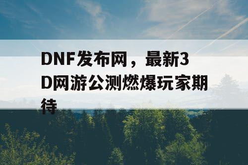 DNF发布网，最新3D网游公测燃爆玩家期待