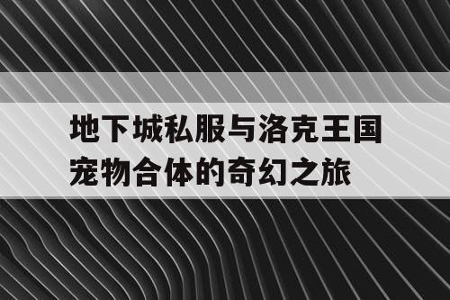 地下城私服与洛克王国宠物合体的奇幻之旅