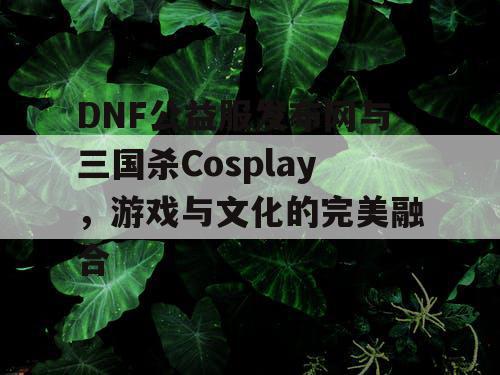 DNF公益服发布网与三国杀Cosplay，游戏与文化的完美融合