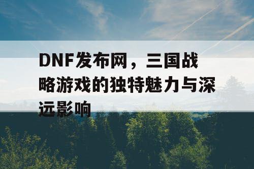 DNF发布网，三国战略游戏的独特魅力与深远影响