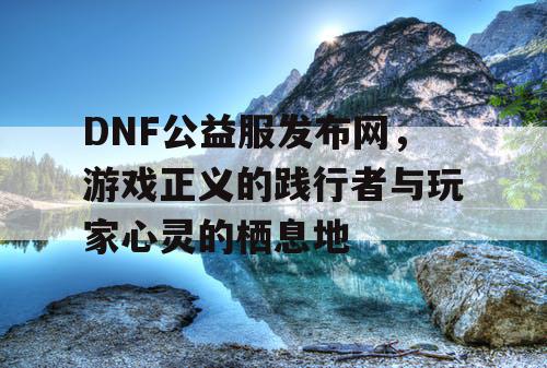 DNF公益服发布网，游戏正义的践行者与玩家心灵的栖息地